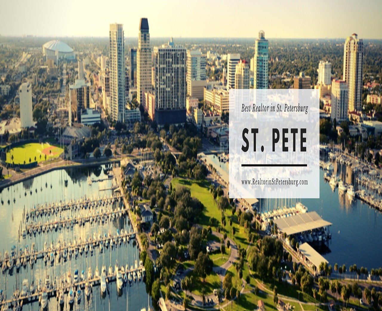 Realtor in St. Petersburg | Elizabeth Funk cover image