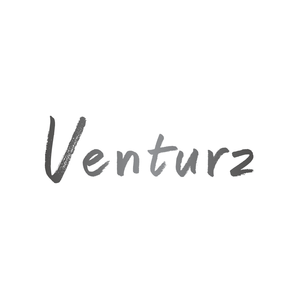 Venturz cover