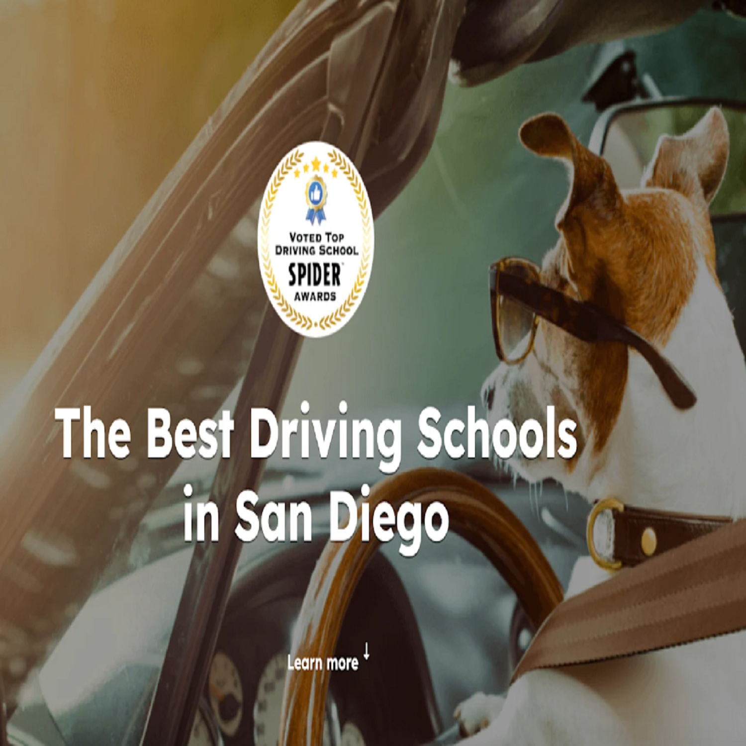 DriverZ SPIDER Driving Schools - San Diego cover