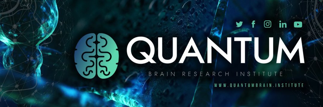 Quantum Brain Research Institute  cover