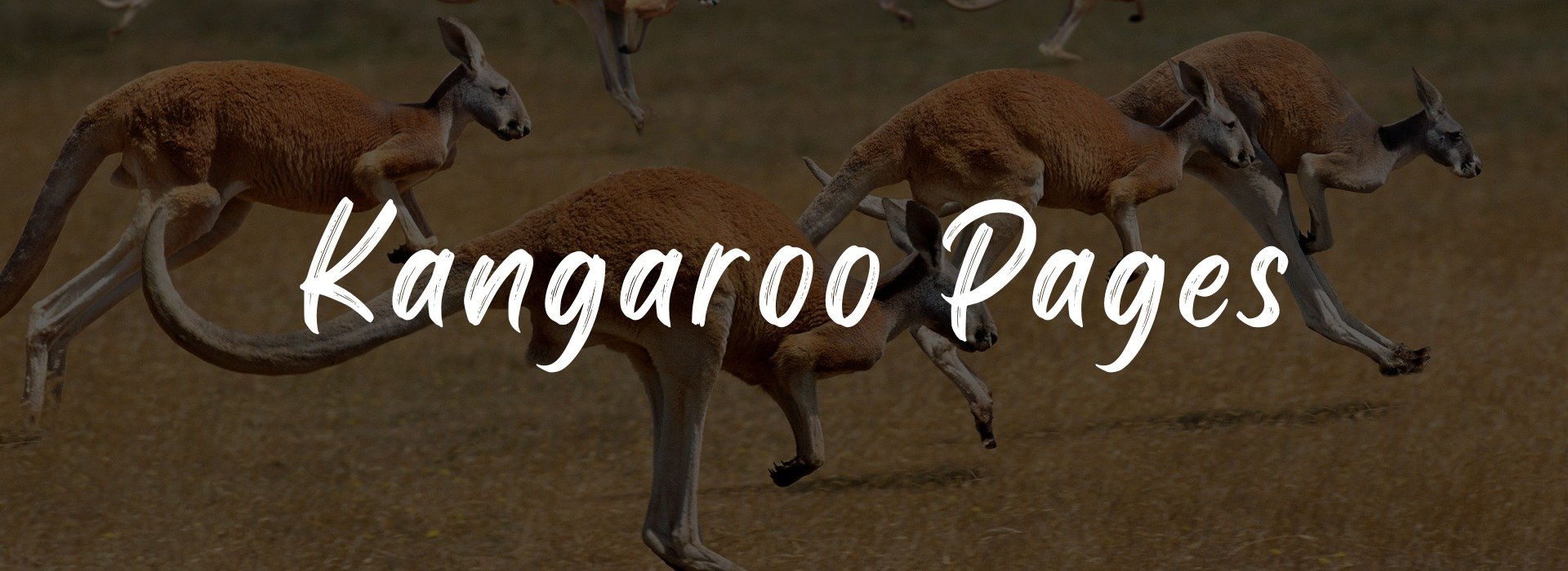 Write For Us | Kangaroo Pages cover