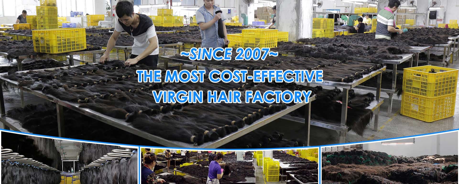 Honest Hair Factory cover