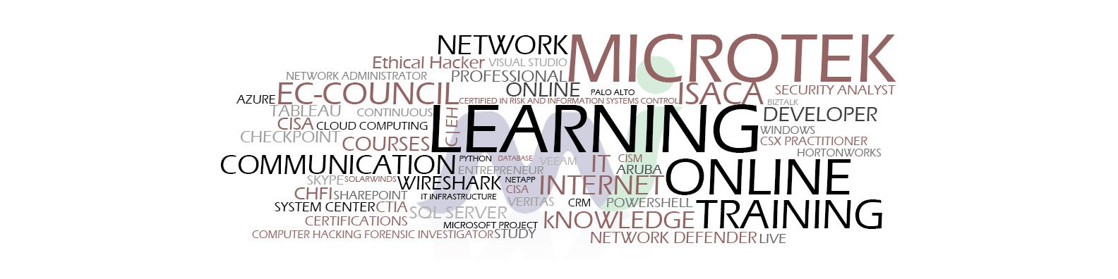 Microtek Learning Inc. cover