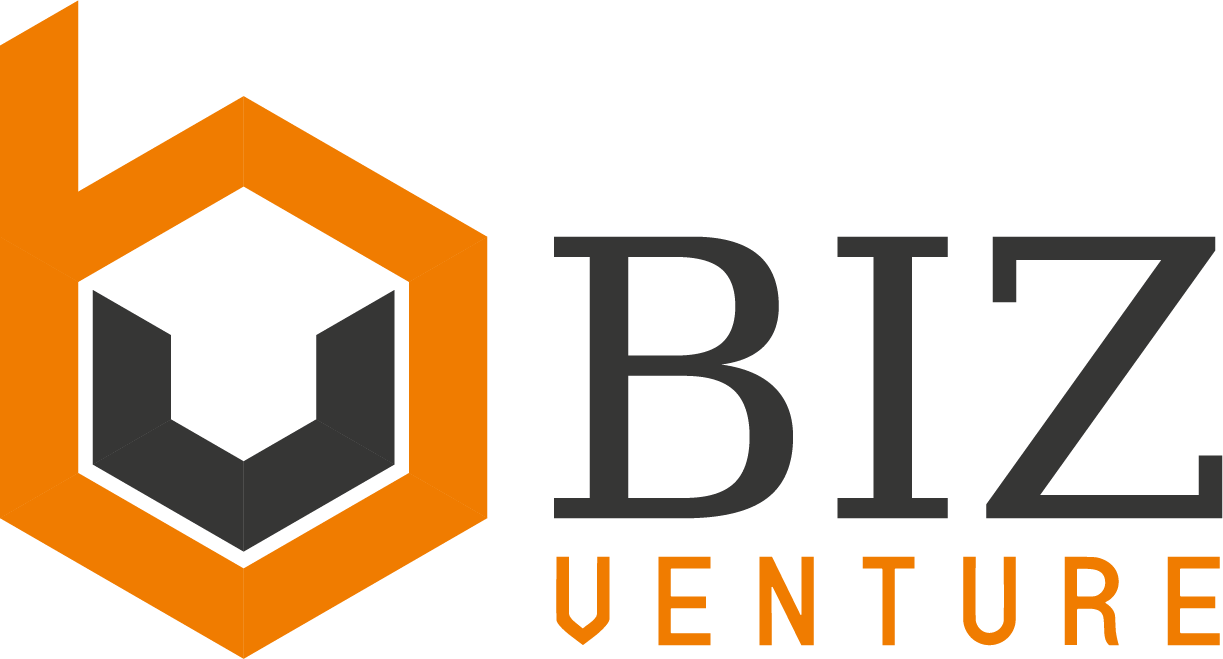 BizVenture Marketing cover