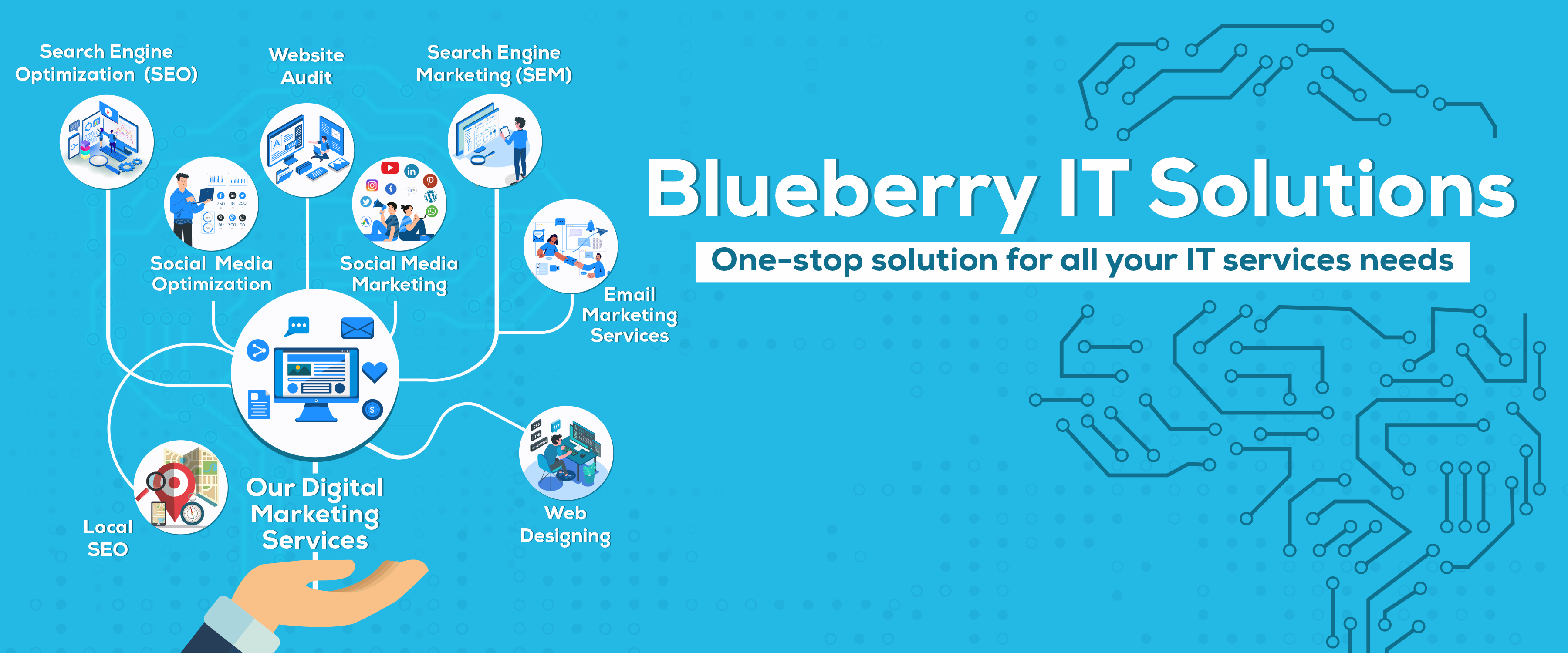 Blueberry IT Solutions cover