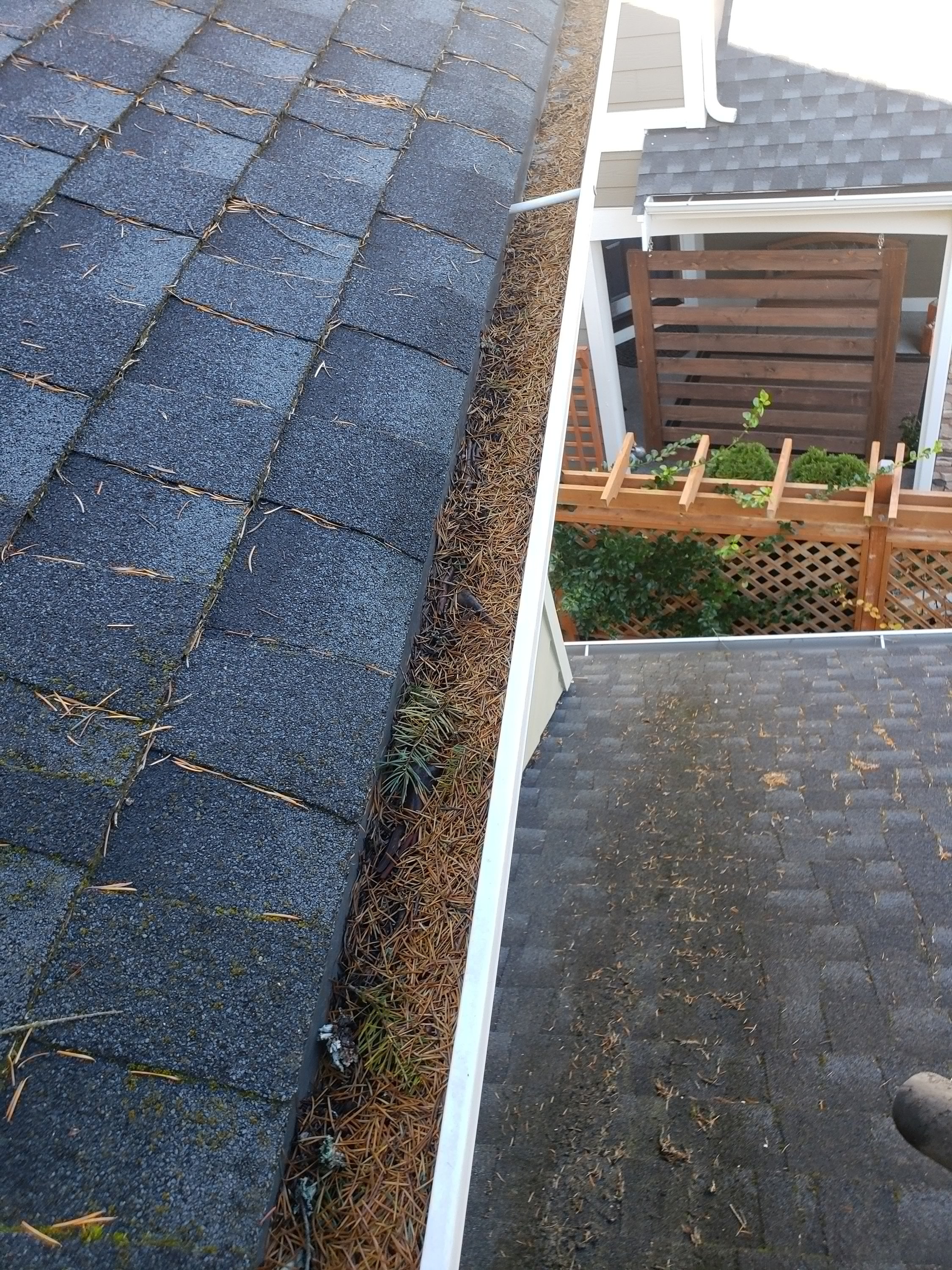 Clean Pro Gutter Cleaning Seattle cover