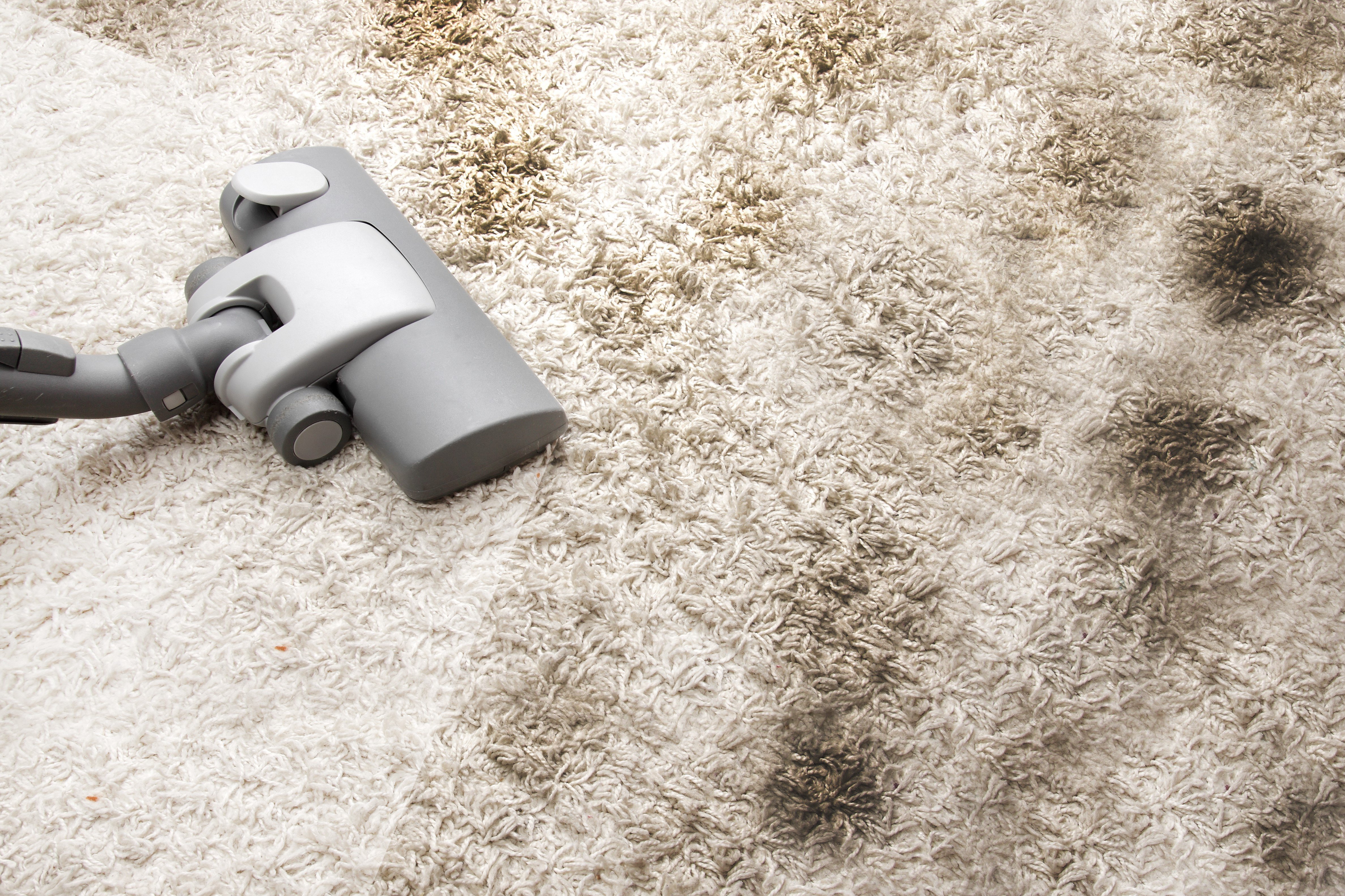 Carpet Cleaning Penrith cover