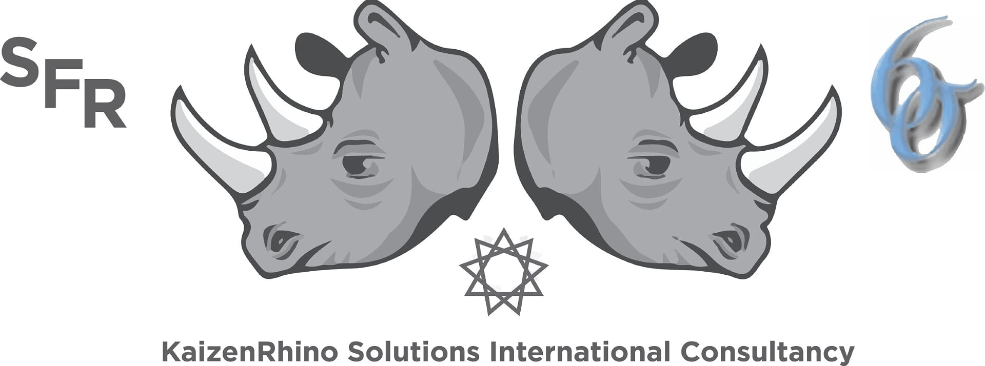 KaizenRhino Solutions International L3C cover