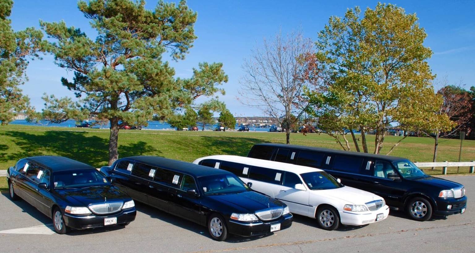 Diamond Edge Limo cover