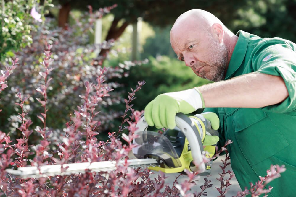 Rotherham Hedge Trimming cover