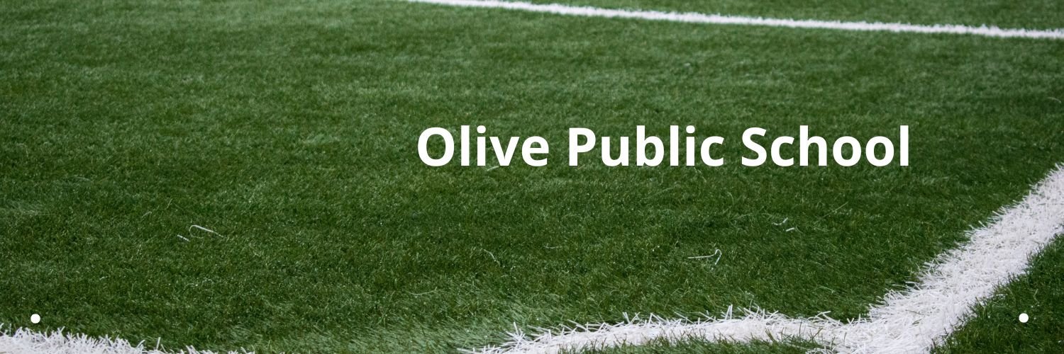 Olive Public School cover