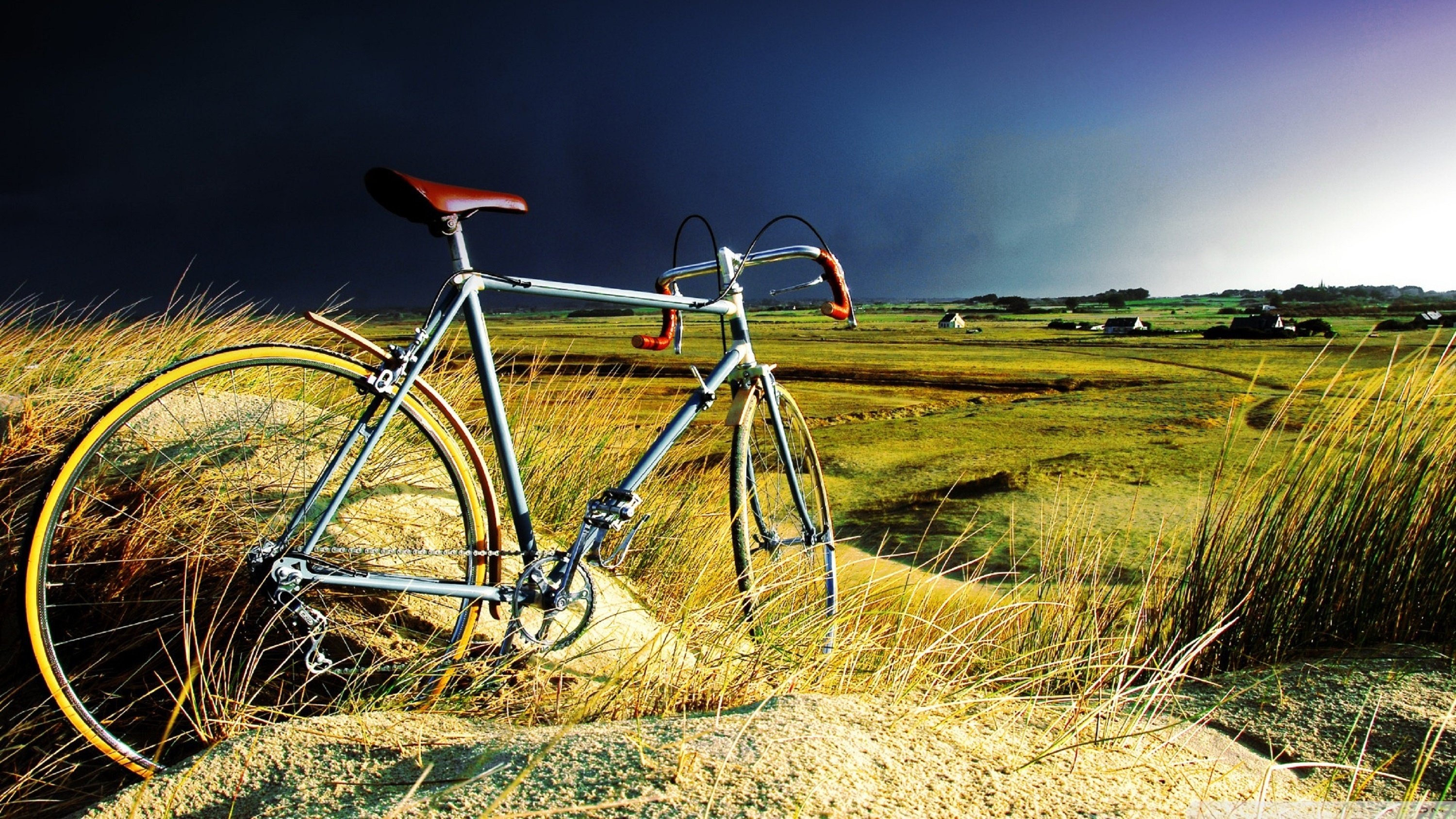 Bicycle. Шоссейный велосипед на природе. Велосипед заставка. Пейзаж с велосипедом. Велосипед на фоне природы.