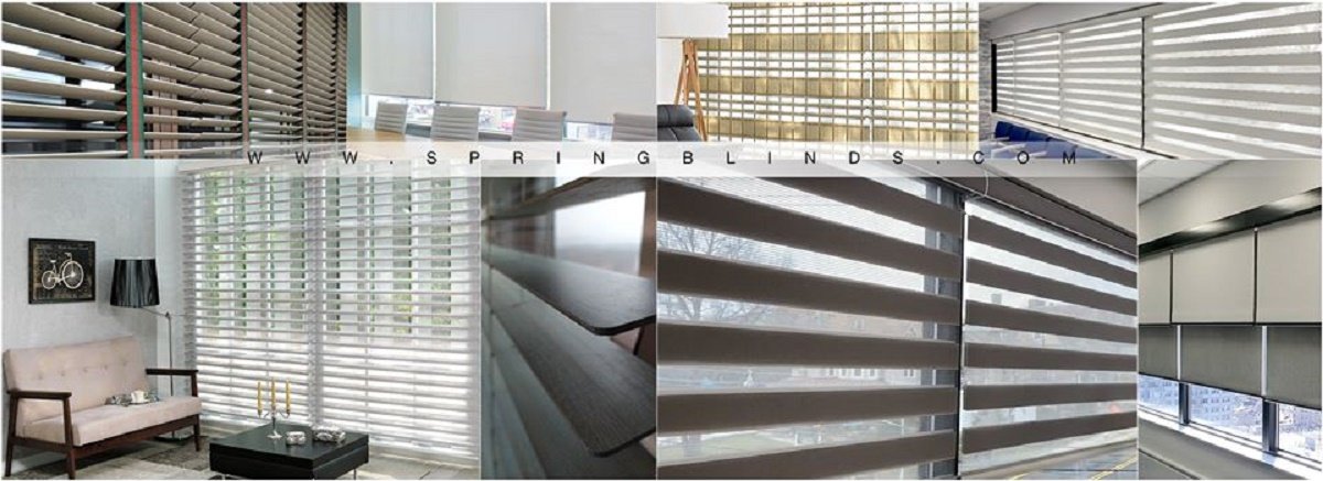 SPRINGBLINDS cover