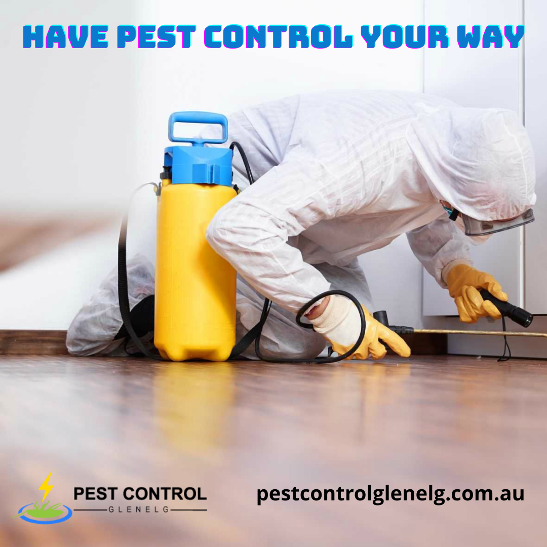 Pest Control Glenelg cover