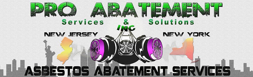 Pro Abatement cover