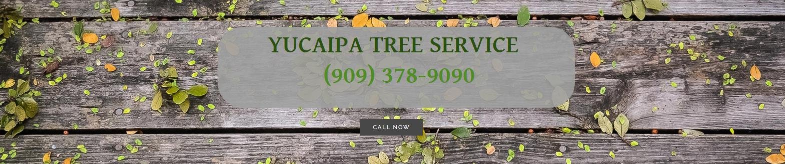 Yucaipa Tree Service cover