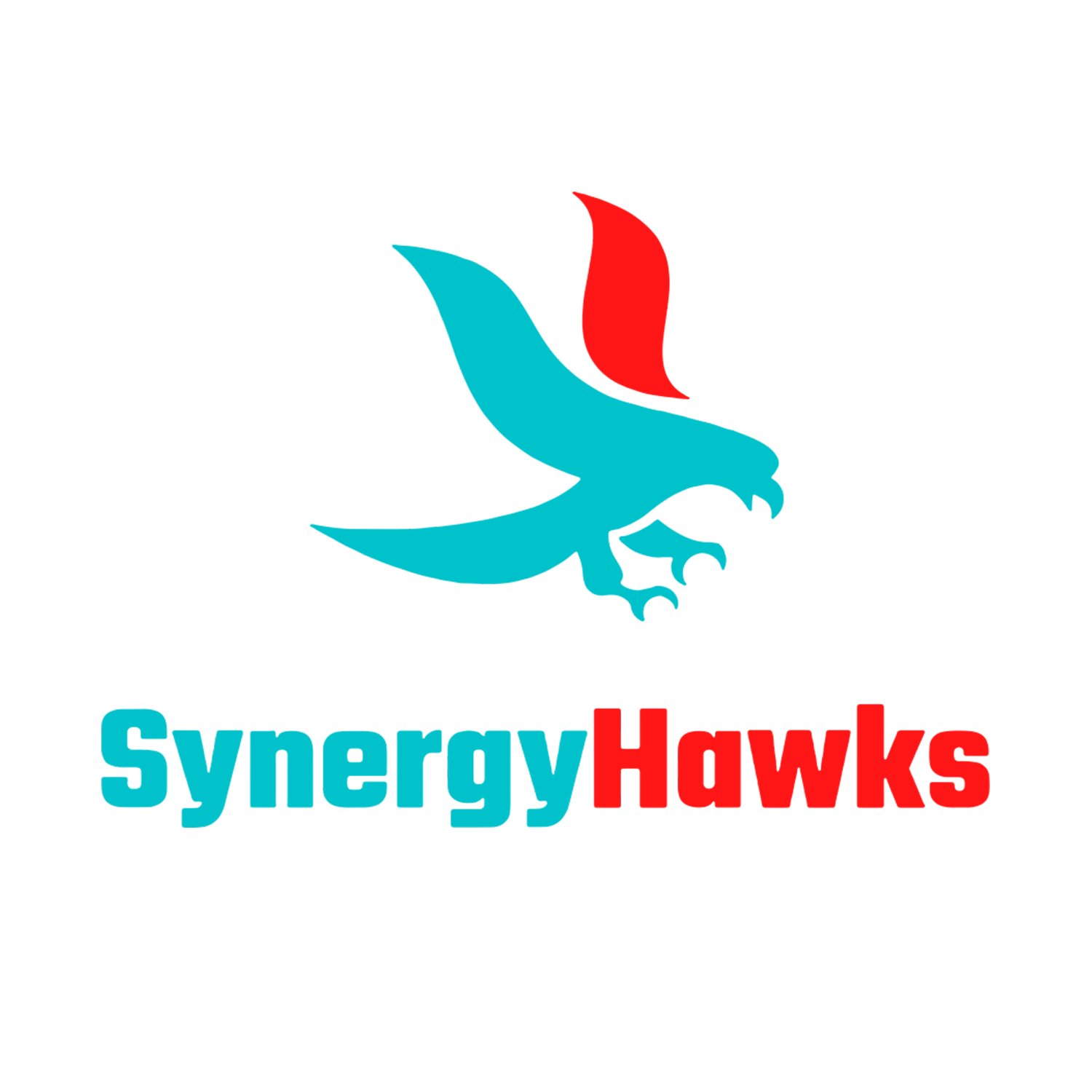 SynergyHawks cover