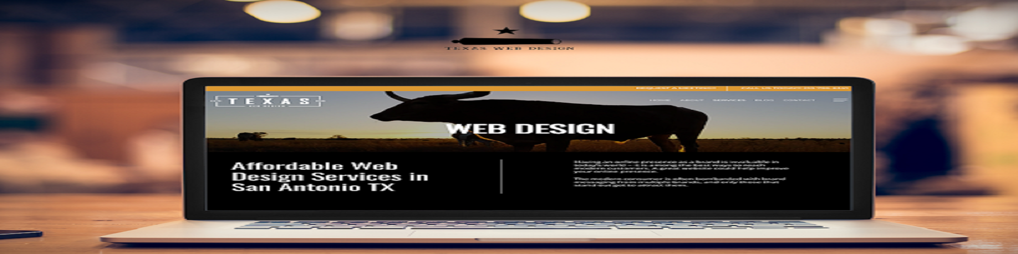 Texas Web Design cover