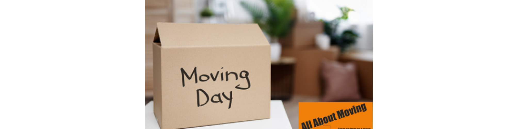 ALL ABOUT MOVING - KITCHENER