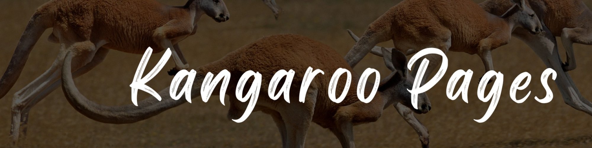 Write For Us | Kangaroo Pages