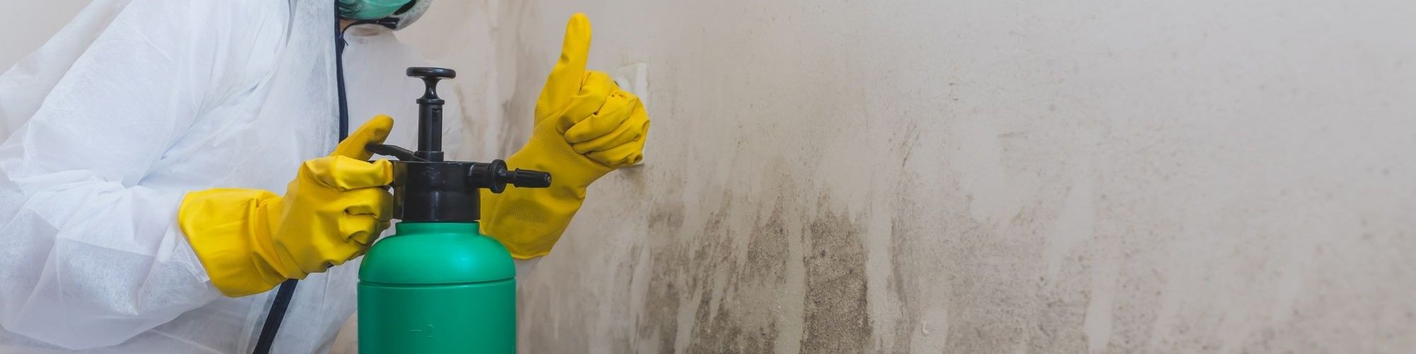 Mold Experts of Marietta