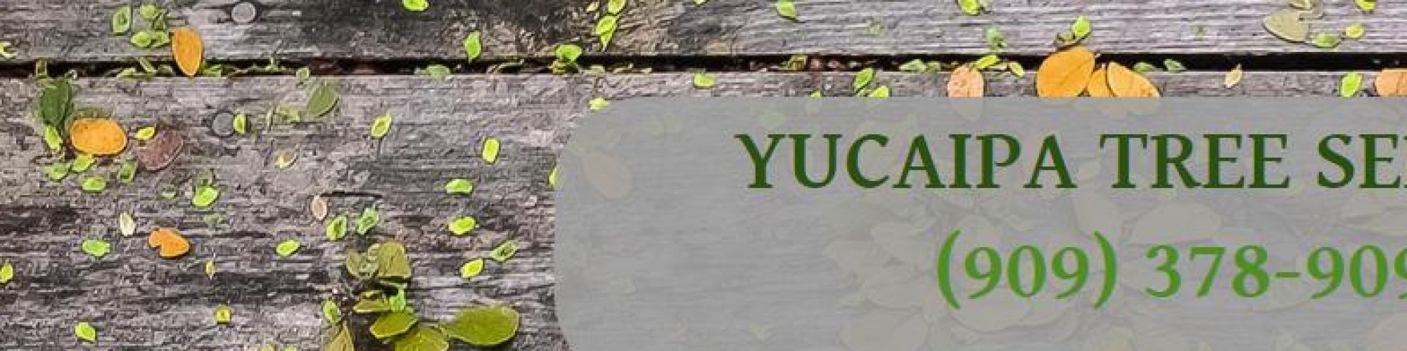 Yucaipa Tree Service