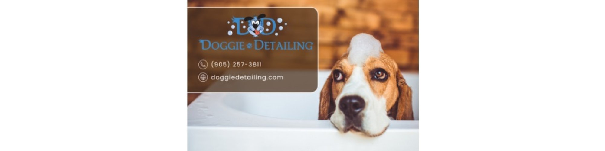 Doggie Detailing