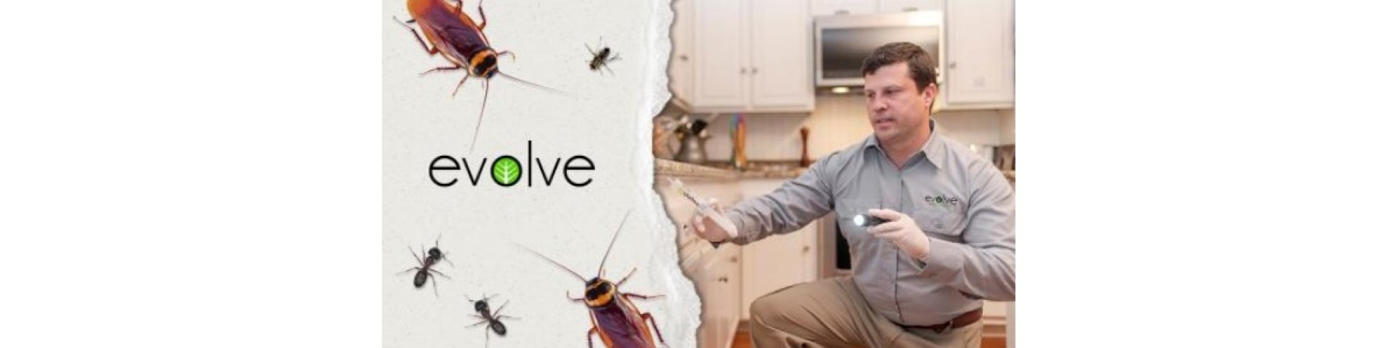 Evolve Pest Control