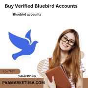 3 Easy Ways To Buy Verified Bluebird Accounts