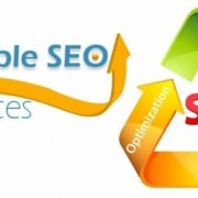 SEO Marketing Noida