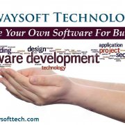 Software Development