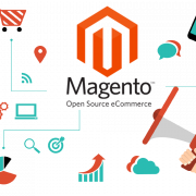 Magento Development