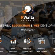 RWaltz Group Inc. Services