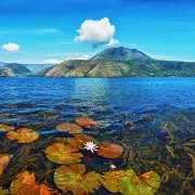 Danau Toba