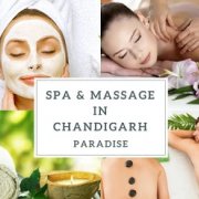 Paradise Body Massage in Chandigarh