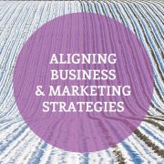 Aligning business & marketing strategies