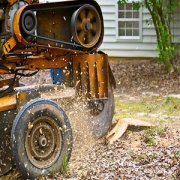 Flat Tree Service