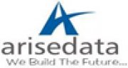 Arisedata Infotech