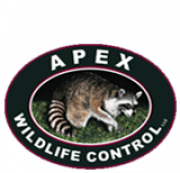 Apex Wildlife Control LLC