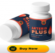 Arteris Plus