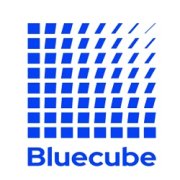 Bluecube Technology Solutions