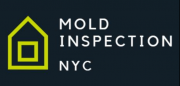 Mold Inspection NYC