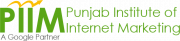 PIIM (Punjab Institute Of Internet Marketing)