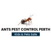 Ant Pest Control Perth