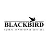 Blackbird Worldwide - Limo & Car Services