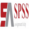 SPSS Assignment Help