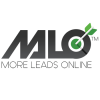 More Leads Online