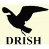 Drish Infotech Limited