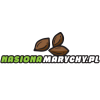 Nasiona Marychy