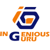 Ingenious Guru NYC